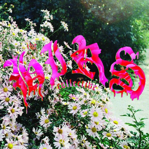 HIRS COLLECTIVE - WE'RE STILL HERE Vinyl LP