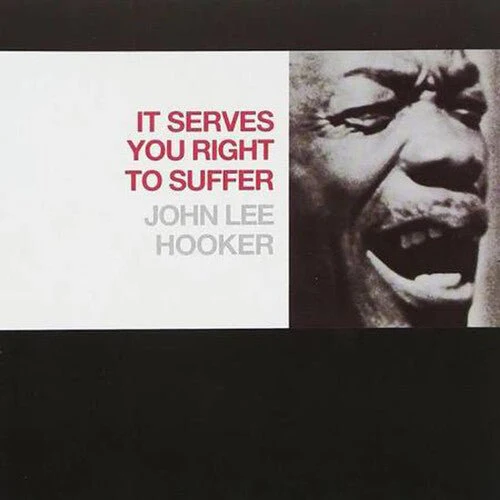 HOOKER,JOHN LEE - IT SERVES YOU RIGHT TO SUFFER Vinyl LP - Image 2