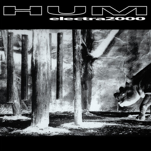 HUM - ELECTRA 2000 Vinyl LP