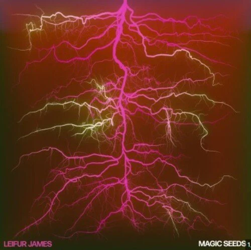 JAMES,LEIFUR - MAGIC SEEDS Vinyl LP