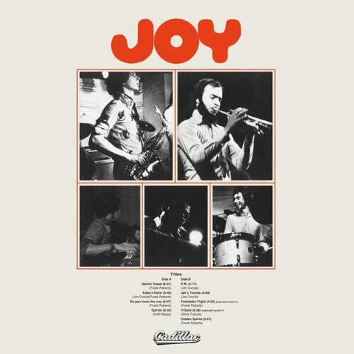 JOY Vinyl LP