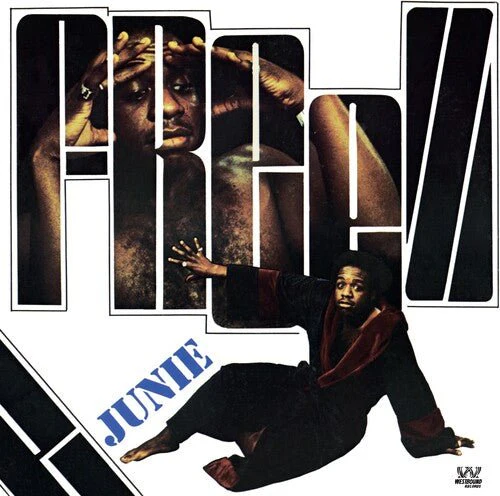 JUNIE - FREEZE Vinyl LP