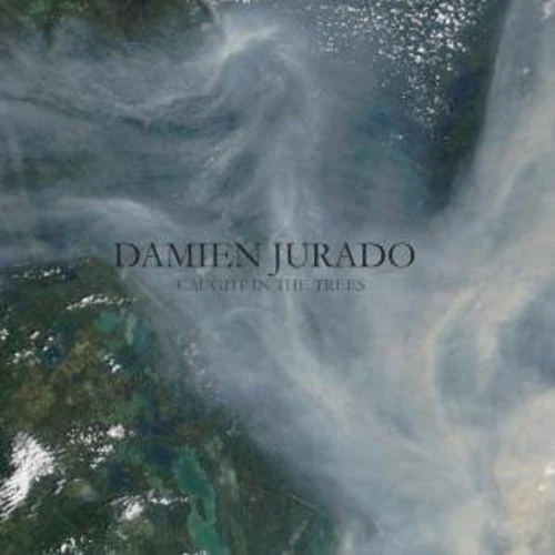 JURADO,DAMIEN - CAUGHT IN THE TREES Vinyl LP