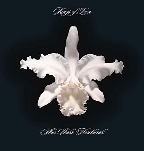 KINGS OF LEON - AHA SHAKE HEARTBREAK Vinyl LP - Image 7