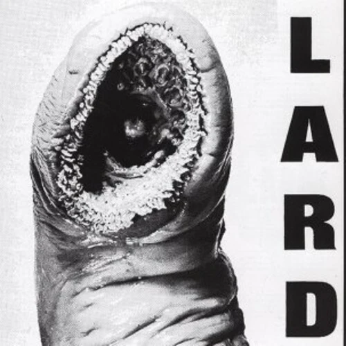 LARD - POWER OF LARD - WHITE Vinyl LP