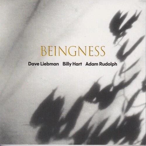 LEIBMAN,DAVE / HART,BILLY / RUDOLPH,ADAM - BEINGNESS Vinyl LP