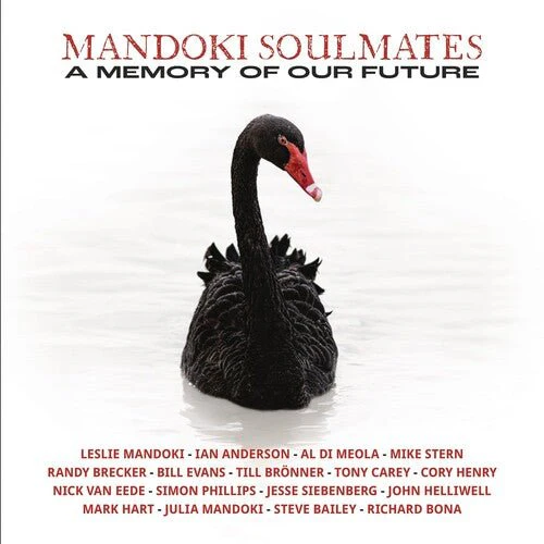 MANDOKI SOULMATES - MEMORY OF OUR FUTURE Vinyl LP