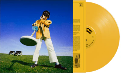 MCKENNA,DECLAN - WHAT HAPPENED TO THE BEACH? Vinyl LP