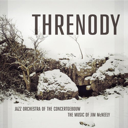 MCNEELY,JIM - THRENODY Vinyl LP
