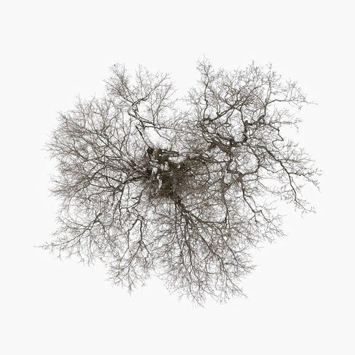 METCALFE,JOHN - TREE Vinyl LP