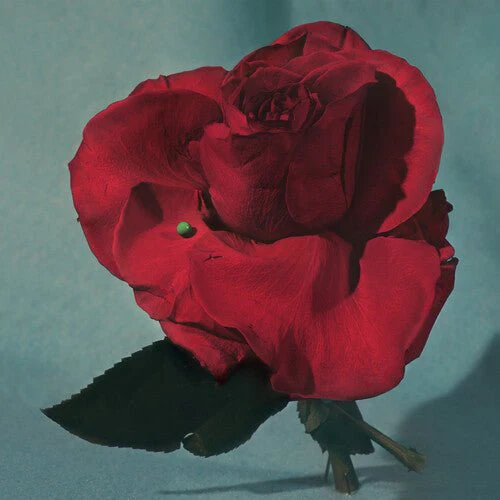 METZ - UP ON GRAVITY HILL - CLEAR W/ RED Vinyl LP