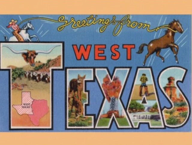 Mike Flanigin - West Texas Blues Longhorn Picture Disc w/ Postcard Vinyl LP - Image 2