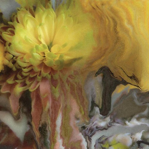 MILLSAP,PARKER - WILDERNESS WITHIN YOU Vinyl LP - Image 2