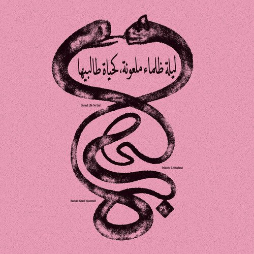 MOUMNEH,RADWAN GHAZI / OBERLAND,FEDERIC D. - ETERNAL LIFE NO END Vinyl LP