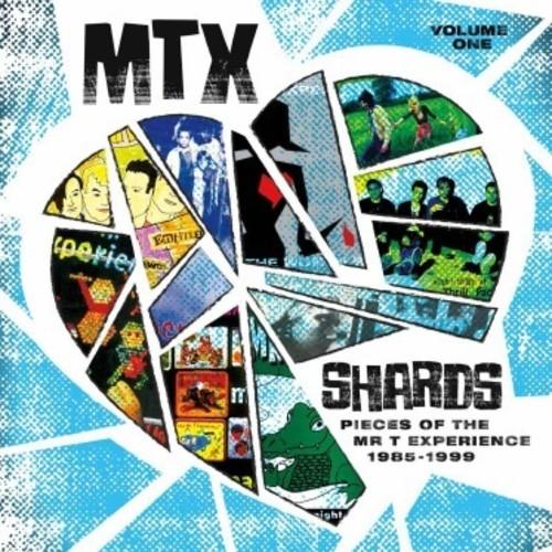 MR T EXPERIENCE - SHARDS VOL. 1 Vinyl LP