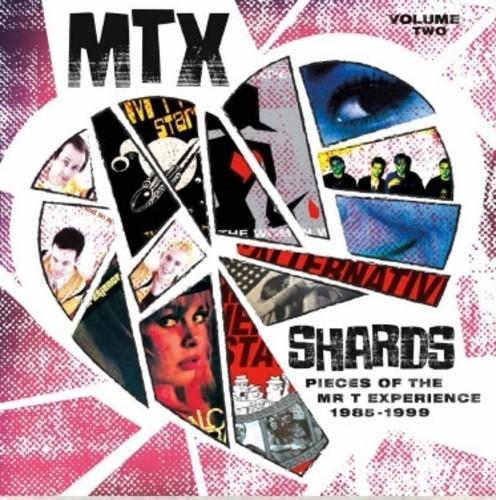 MR T EXPERIENCE - SHARDS VOL. 2 Vinyl LP