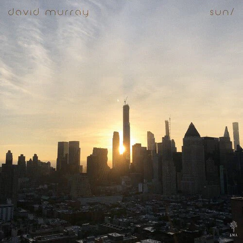 MURRAY,DAVID - SUN/MOON Vinyl LP