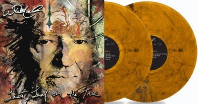 NELSON,WILLIE - LAST LEAF ON THE TREE Vinyl LP