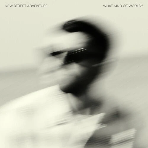 NEW STREET ADVENTURE - WHAT KIND OF WORLD? Vinyl LP