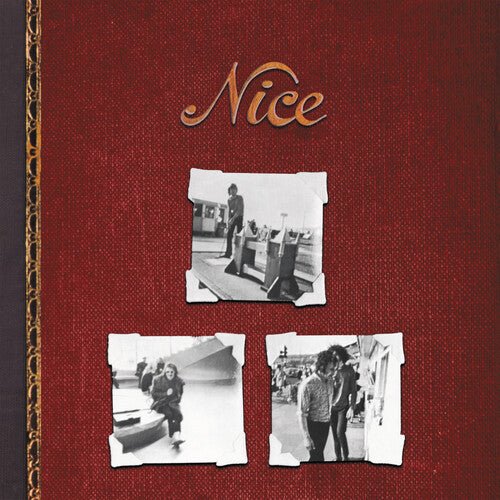 NICE Vinyl LP - Image 2