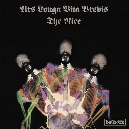 NICE - ARS LONGA VITA BREVIS - X-RAY MARBLED Vinyl LP - Image 2
