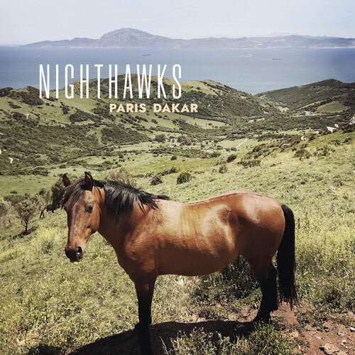 NIGHTHAWKS - PARIS DAKAR Vinyl LP
