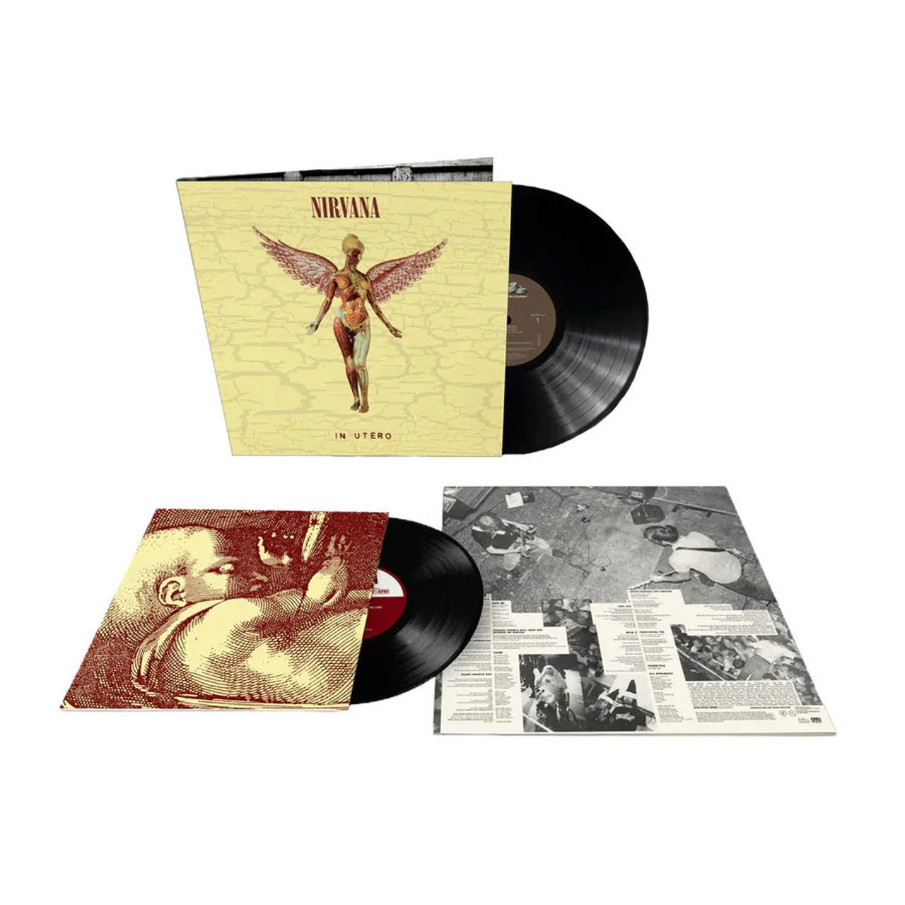 Nirvana In Utero (30th Anniversary) 180g LP & 10" Vinyl LP