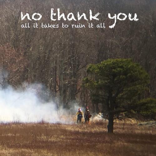 NO THANK YOU - ALL IT TAKES TO RUIN IT ALL Vinyl LP
