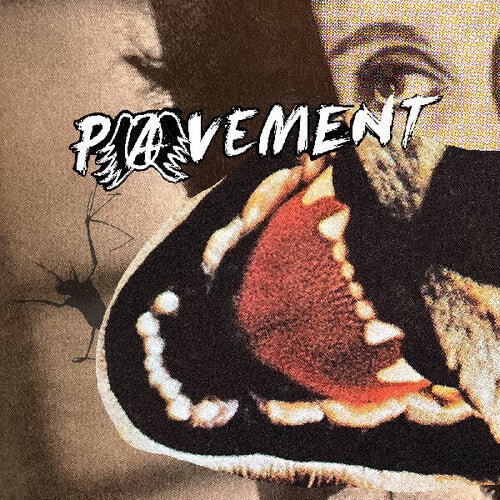 PAVEMENT - HECKLERS CHOICE: BIG GUMS AND HEAVY LIFTERS Vinyl LP