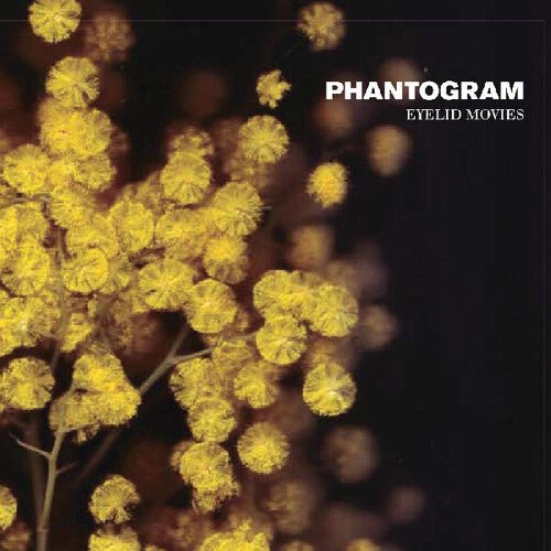 PHANTOGRAM - EYELID MOVIES Vinyl LP