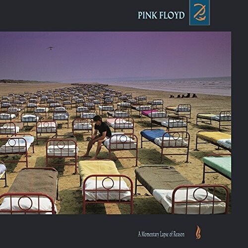 PINK FLOYD - MOMENTARY LAPSE OF REASON Vinyl LP