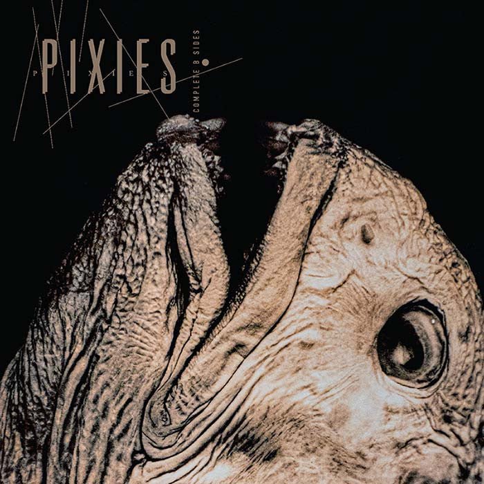 PIXIES - COMPLETE B SIDES: 1988-97 Vinyl LP - Image 2