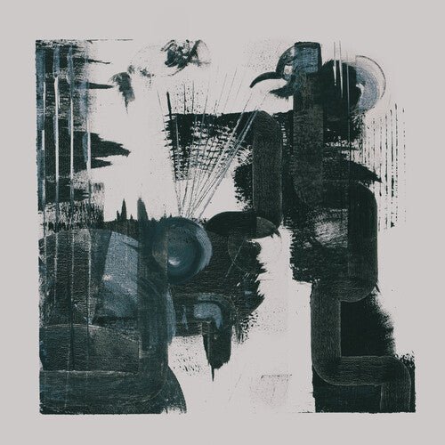 POLY-MATH - SOMETHING DEEPLY HIDDEN Vinyl LP