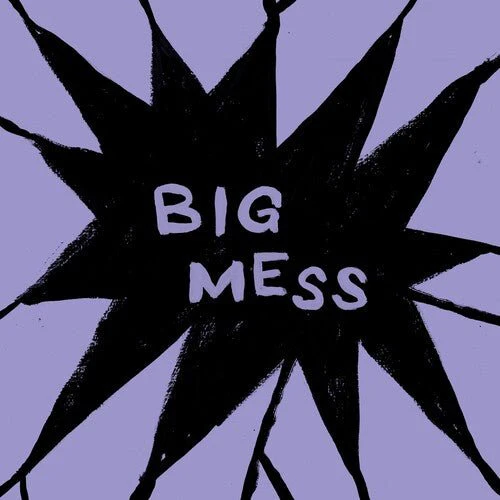 PUBLIC BODY - BIG MESS Vinyl LP - Image 2