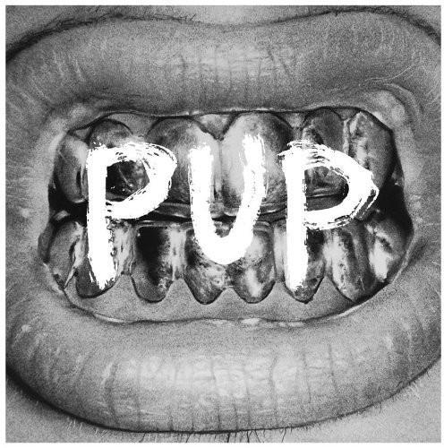 PUP Vinyl LP - Image 32