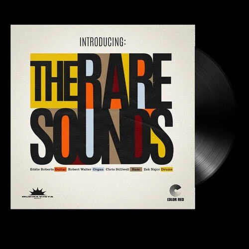 RARE SOUNDS - INTRODUCING: THE RARE SOUNDS Vinyl LP