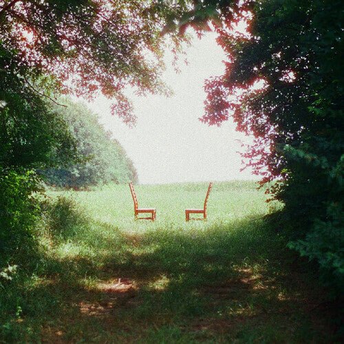 RATBOYS - SINGIN' TO AN EMPTY CHAIR - GREEN/BROWN Vinyl LP