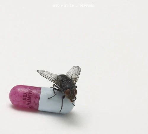 RED HOT CHILI PEPPERS - I'M WITH YOU Vinyl LP