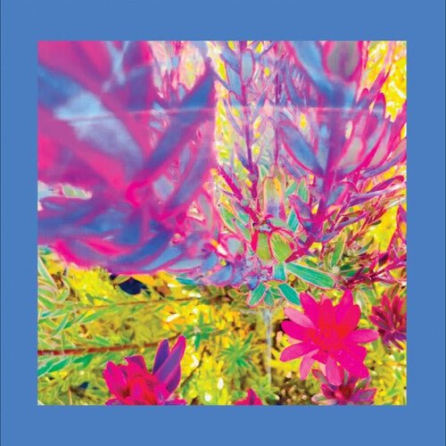 REDS PINKS & PURPLES - PAST IS A GARDEN I NEVER FED Vinyl LP