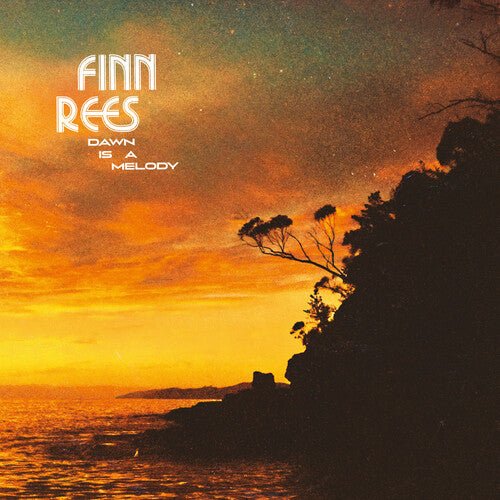 REES,FINN - DAWN IS A MELODY Vinyl LP - Image 2