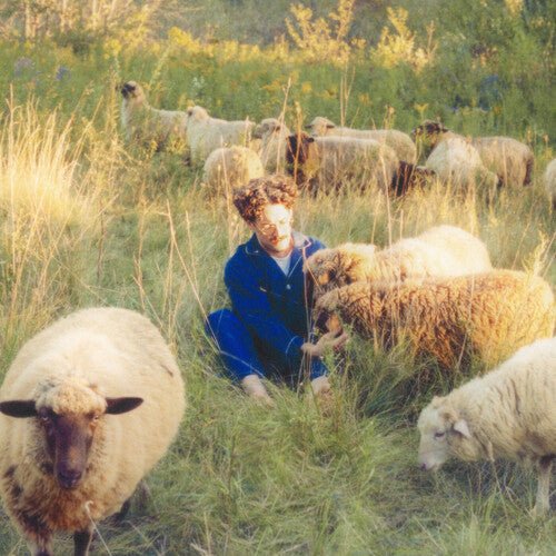 RESAVOIR - THEMES FOR DREAMS Vinyl LP