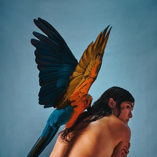 REYNA TROPICAL - MALEGRIA Vinyl LP