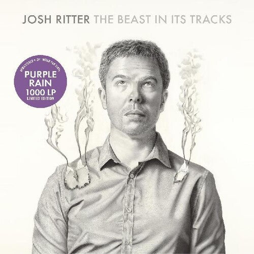 RITTER,JOSH - BEAST IN ITS TRACKS Vinyl LP