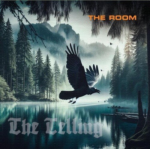 ROOM - TELLING Vinyl LP
