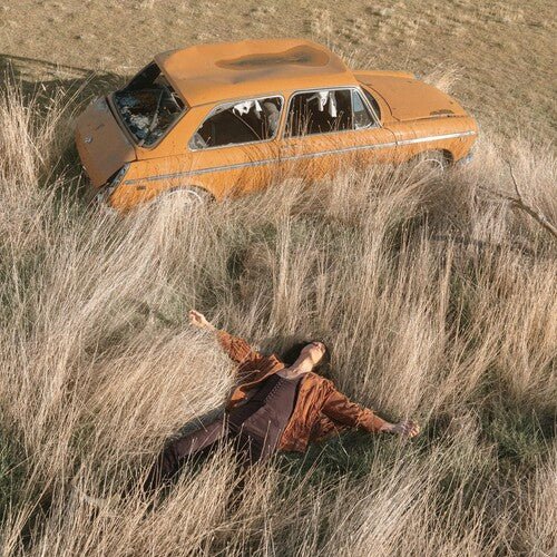 ROTHMAN,LAWRENCE - PLOW THAT BROKE THE PLAINS Vinyl LP