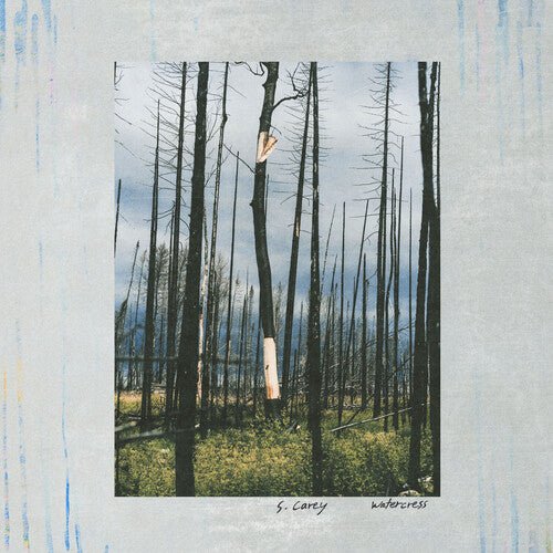S. CAREY - WATERCRESS Vinyl LP
