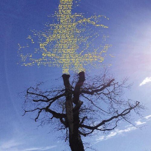 SADIER,LAETITIA - ROOTING FOR LOVE Vinyl LP