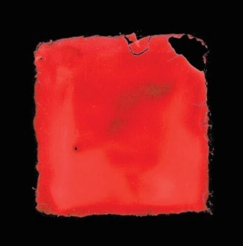 SALVIA PALTH - LAST CHANCE TO SEE Vinyl LP