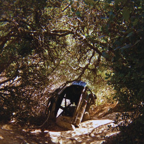 SEGALL,TY - POSSESSION Vinyl LP