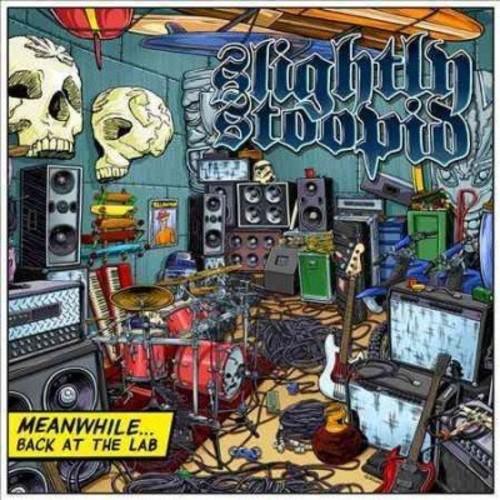 SLIGHTLY STOOPID - MEANWHILE BACK IN THE LAB Vinyl LP - Image 2